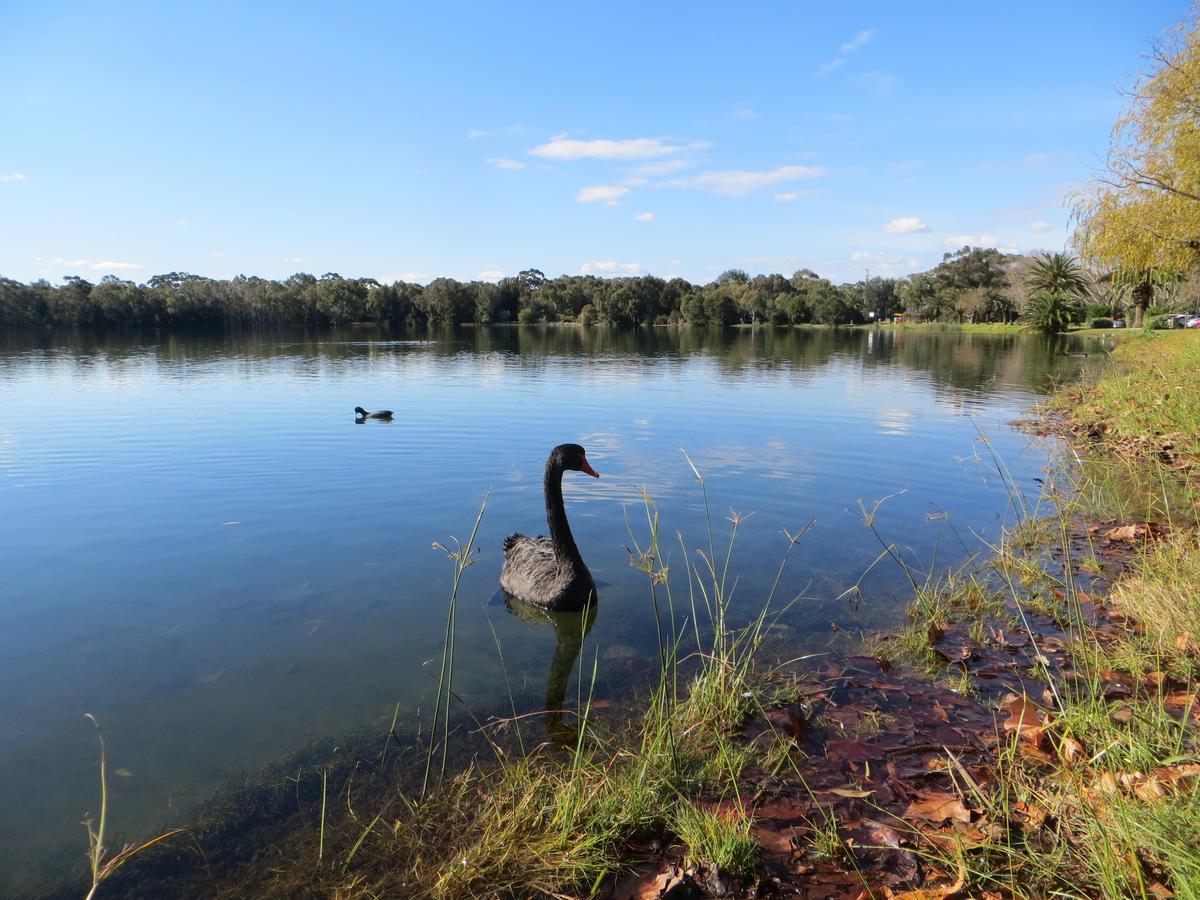Northwood Bed And Breakfast Perth Luaran gambar